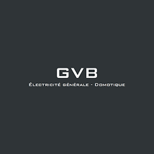 Logo GVB – partenaire de PAE, expert et réactif pour vos installations électriques et domotiques.