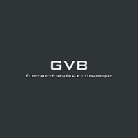 Logo GVB – partenaire de PAE, expert et réactif pour vos installations électriques et domotiques.